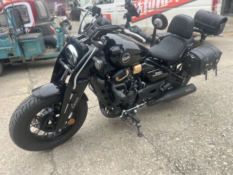 二手赛科龙RA600