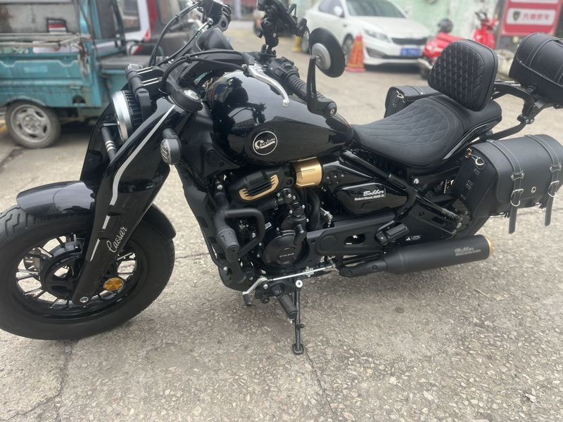 二手赛科龙RA600