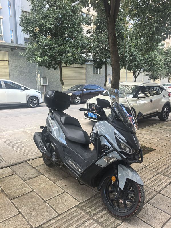 二手三阳Joymax Z 300