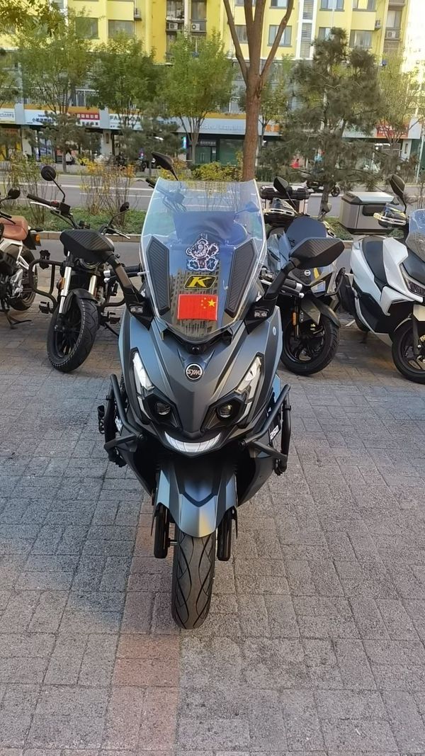 二手三阳巡弋 Cruisym250