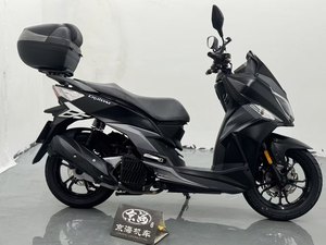 二手三阳巡弋 Cruisym150