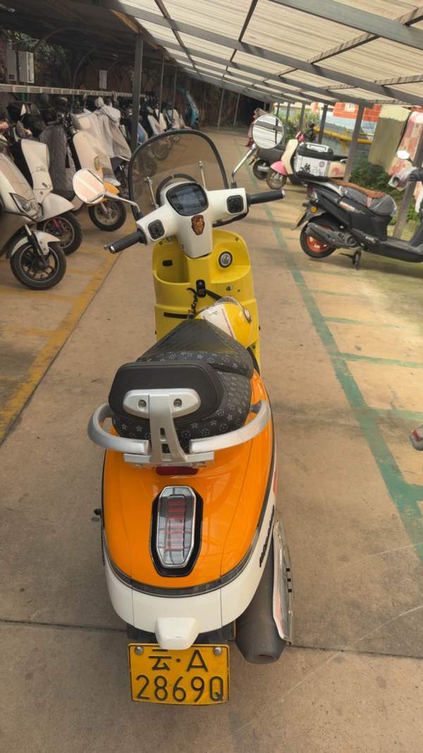 二手南方梦拉丽莎 飞戈