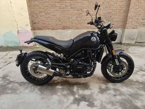 二手贝纳利幼狮 Leoncino 500