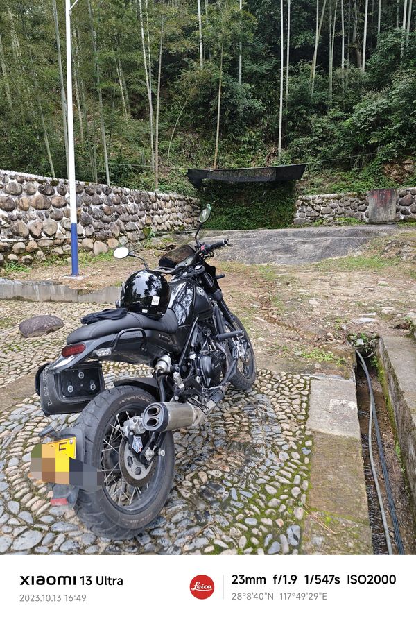 二手贝纳利幼狮 Leoncino 500