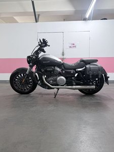 二手奔达Rock300 灰石