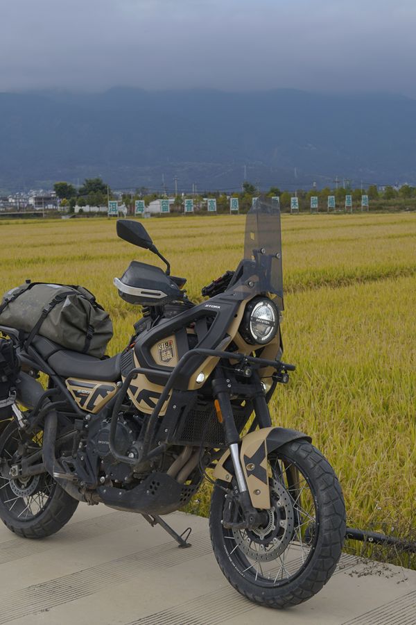 二手高金Storr500