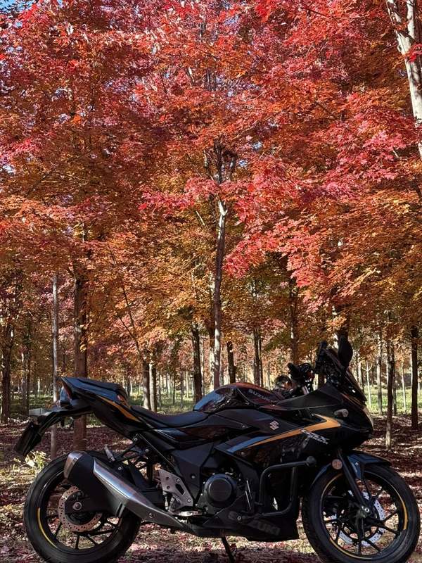 二手豪爵铃木GSX250R