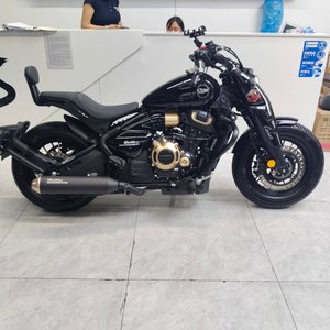 二手赛科龙RA600