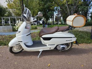 二手南方梦拉丽莎 飞戈