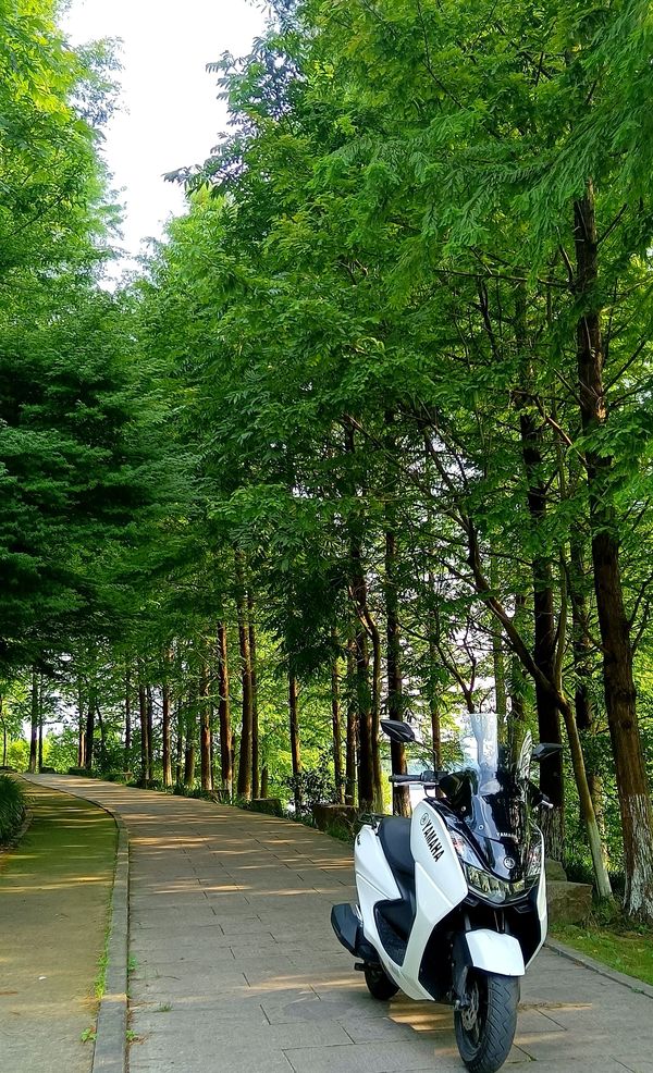 二手建设雅马哈巡鹰125