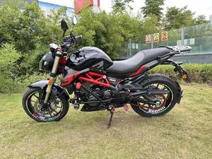 二手贝纳利蓝宝龙 BN302S