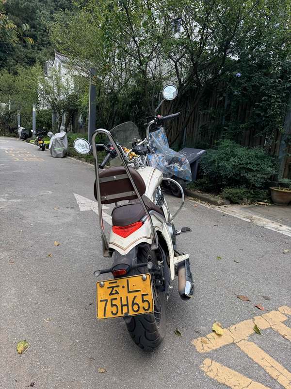 二手宗申优米Yomi