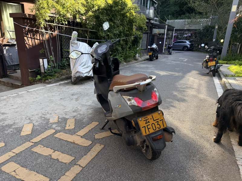 二手五羊本田NB-X