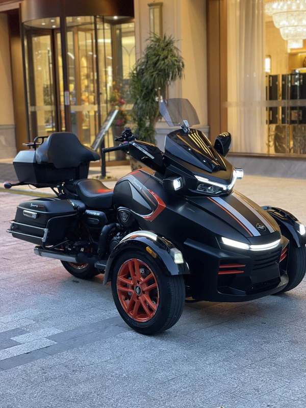 二手庄威威迪南