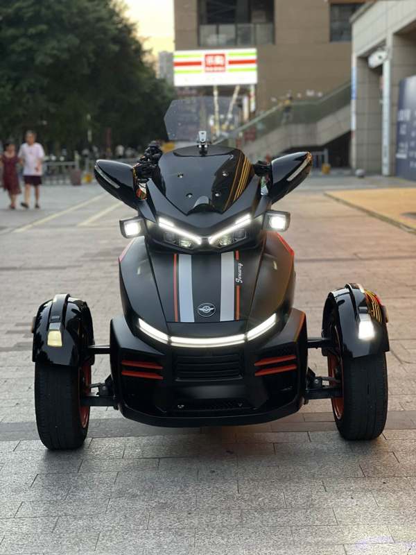 二手庄威威迪南