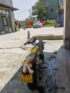 二手金城悟空110