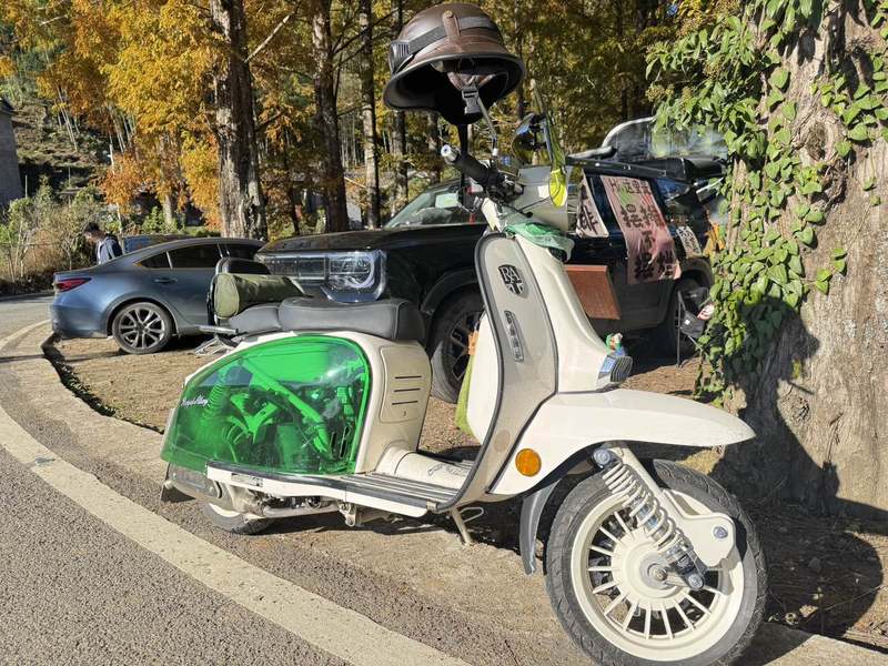 二手ROYAL ALLOYGP150(进口)