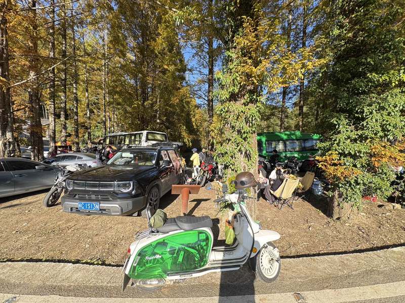 二手ROYAL ALLOYGP150(进口)