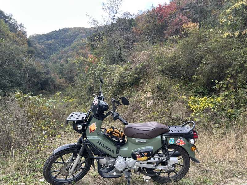 二手新大洲本田Cross Cub