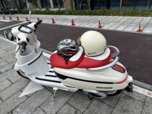 二手南方梦拉丽莎 飞戈