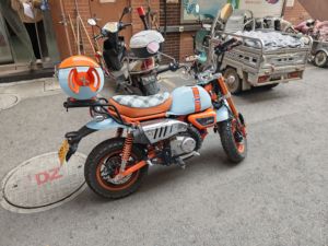 二手斯托纳猿猴