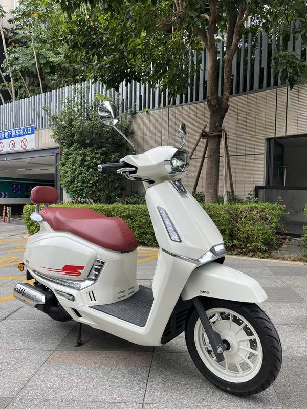 二手QJMOTOR阳光迪诺