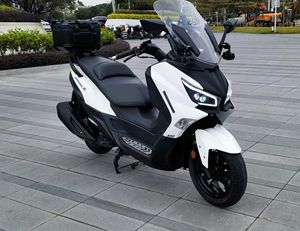 二手三阳Joymax Z 300