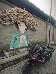 二手诺马魅影 255S