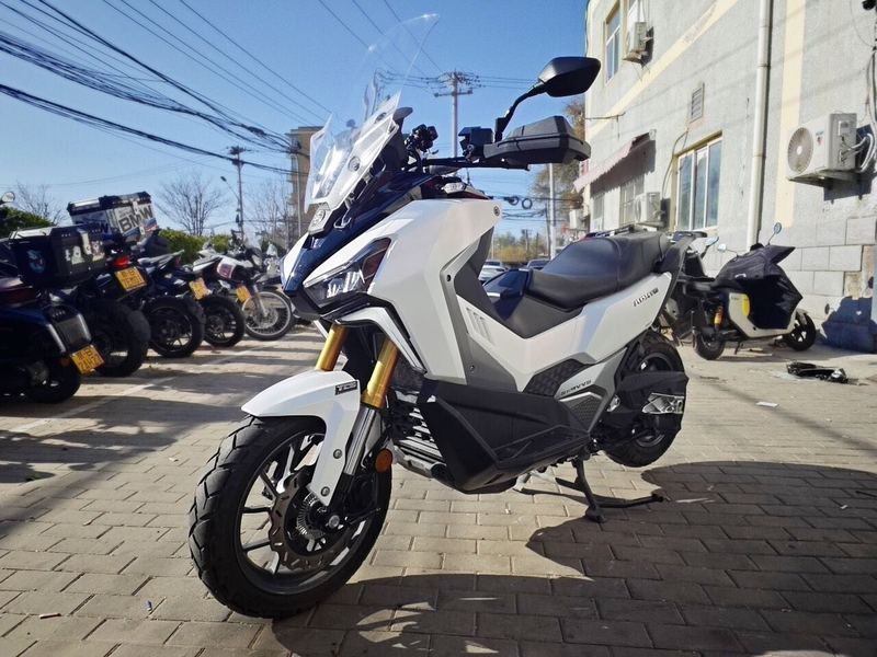 二手三阳剑齿虎 ADXTG