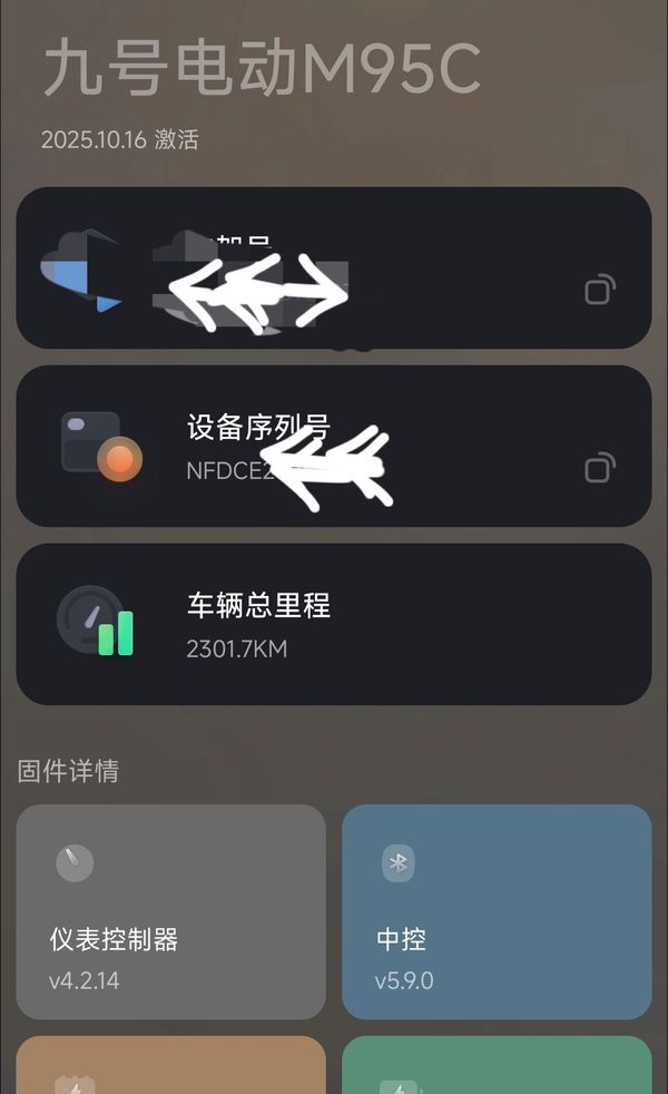 二手九号远航家M