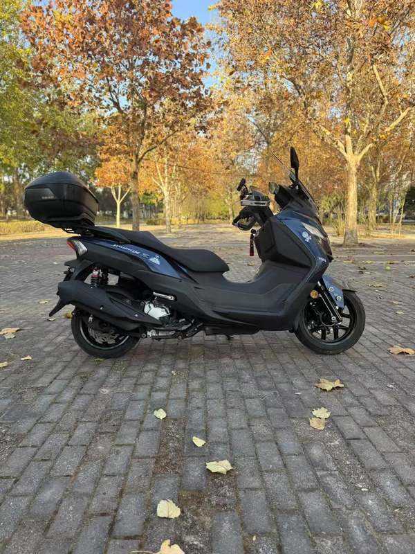 二手三阳Joymax Z 300