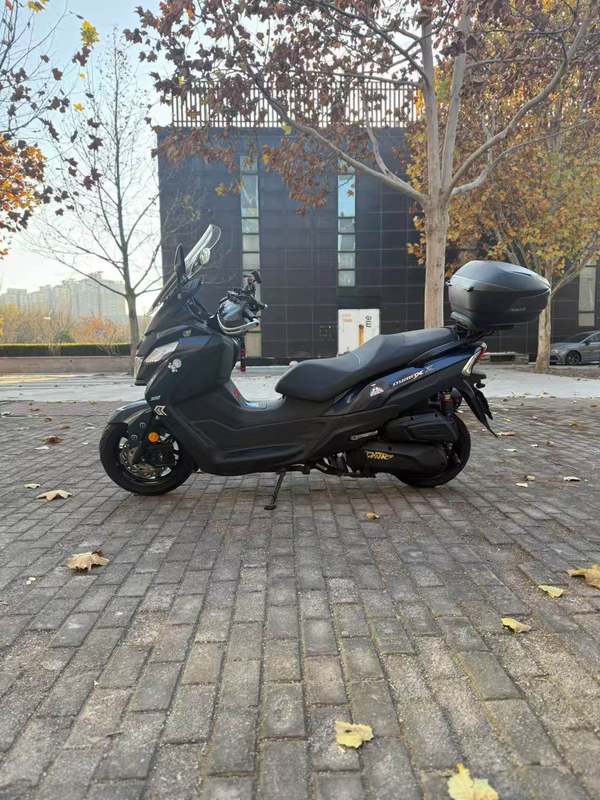 二手三阳Joymax Z 300