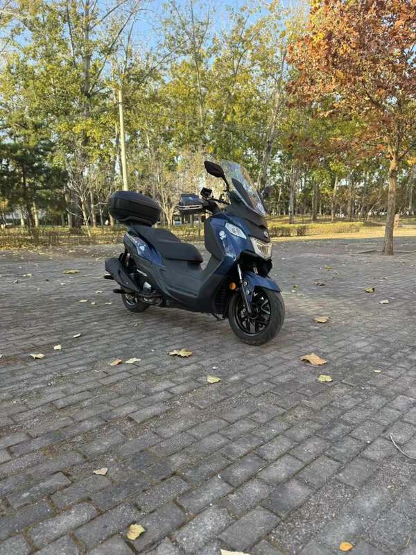 二手三阳Joymax Z 300