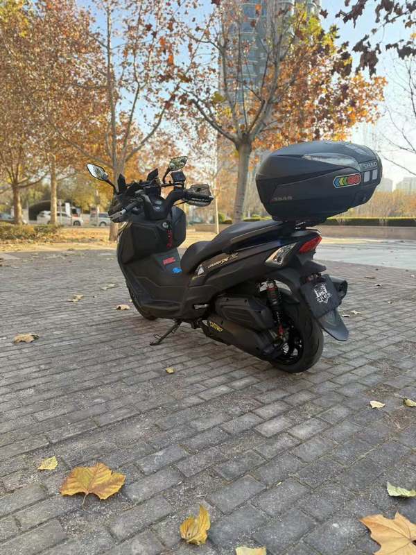 二手三阳Joymax Z 300