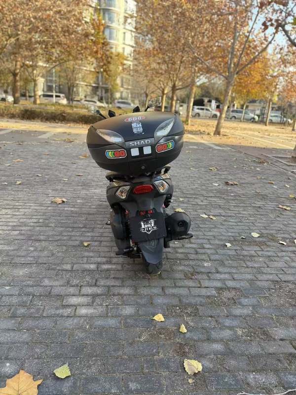 二手三阳Joymax Z 300