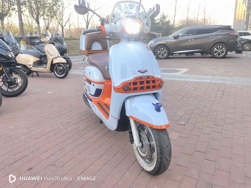 二手维多利亚Sixties 250Si