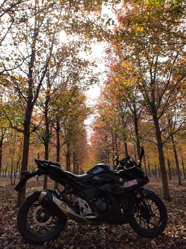 二手豪爵铃木GSX250R