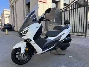 二手三阳Joymax Z 300