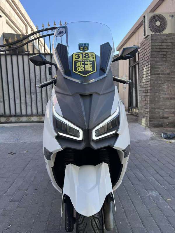 二手三阳Joymax Z 300