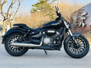 二手奔达Rock300 灰石