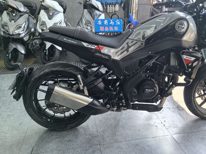 二手贝纳利幼狮 Leoncino 250