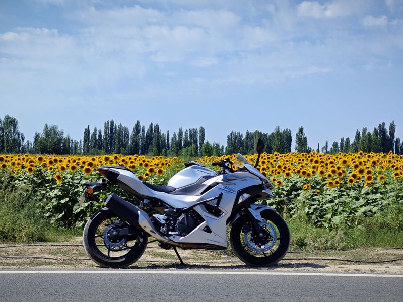 二手川崎Ninja 500