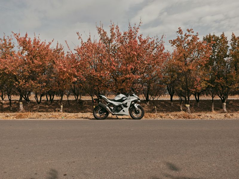 二手川崎Ninja 500