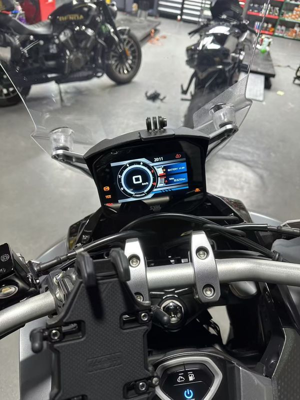 二手三阳剑齿虎 ADXTG