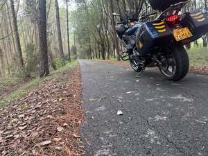 二手贝纳利600GC