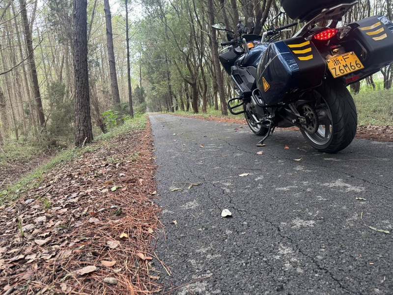 二手贝纳利600GC