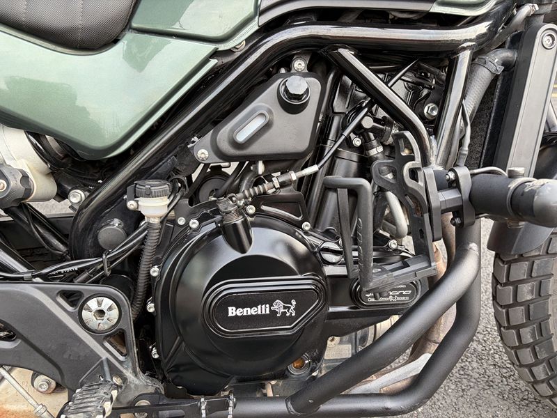 二手贝纳利幼狮 Leoncino 500