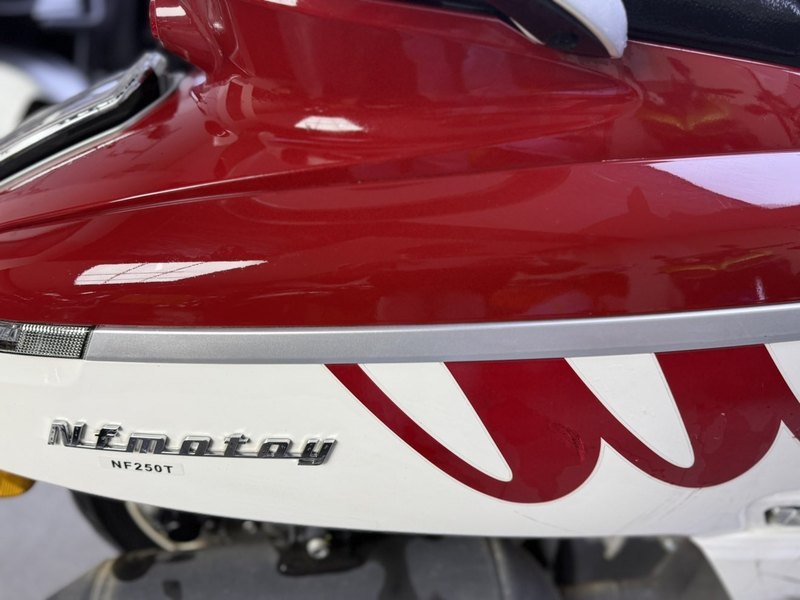 二手南方梦拉丽莎 飞戈