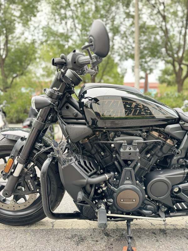 二手哈雷戴维森Softail Standard