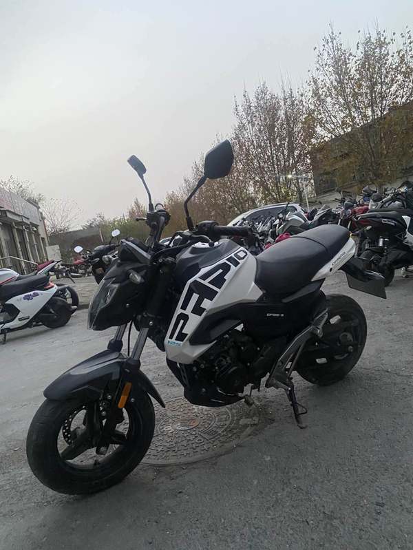 二手春风ST狒狒